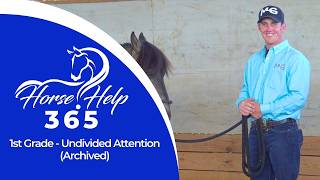 1st Grade - Undivided Attention (Archived) | Horse Help - Michael Gascon