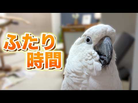 ゆきまる氏とパパ、構わなくても成立する夜