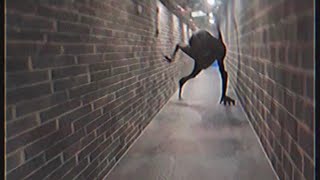 Tape 606 (Found Footage)