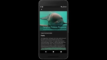 Extinct Games - Flutter Hack20