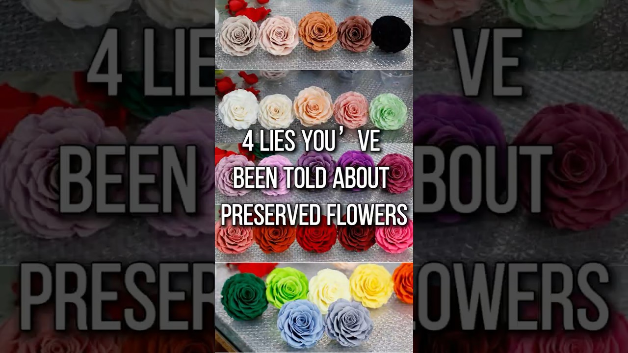 4 Lies You’ve Been Told About Preserved Flowers 