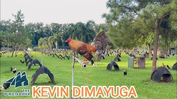 Kevin Dimayuga - Big Farm Free Range Feeding Time Shape Outdoor Chicken Coop