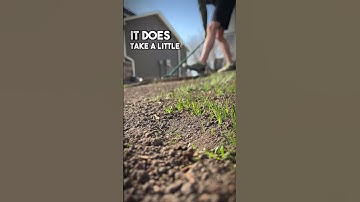 Got a bumpy lawn!? 🌱 | Smooth it out by leveling your lawn #lawn #level #diy #tips #homeowner