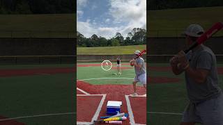 Dog drops fly ball with paw like a glove #shorts #dogs #baseball