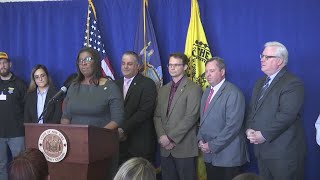 Democratic Candidates for NY-21