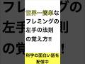 【中2理科】世界一わかりやすいフレミングの左手の法則の覚え方 。#shorts #物理 #科学技術
