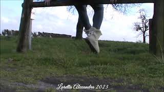 Playing With My Light Grey Ugg Bailey Bow Ii