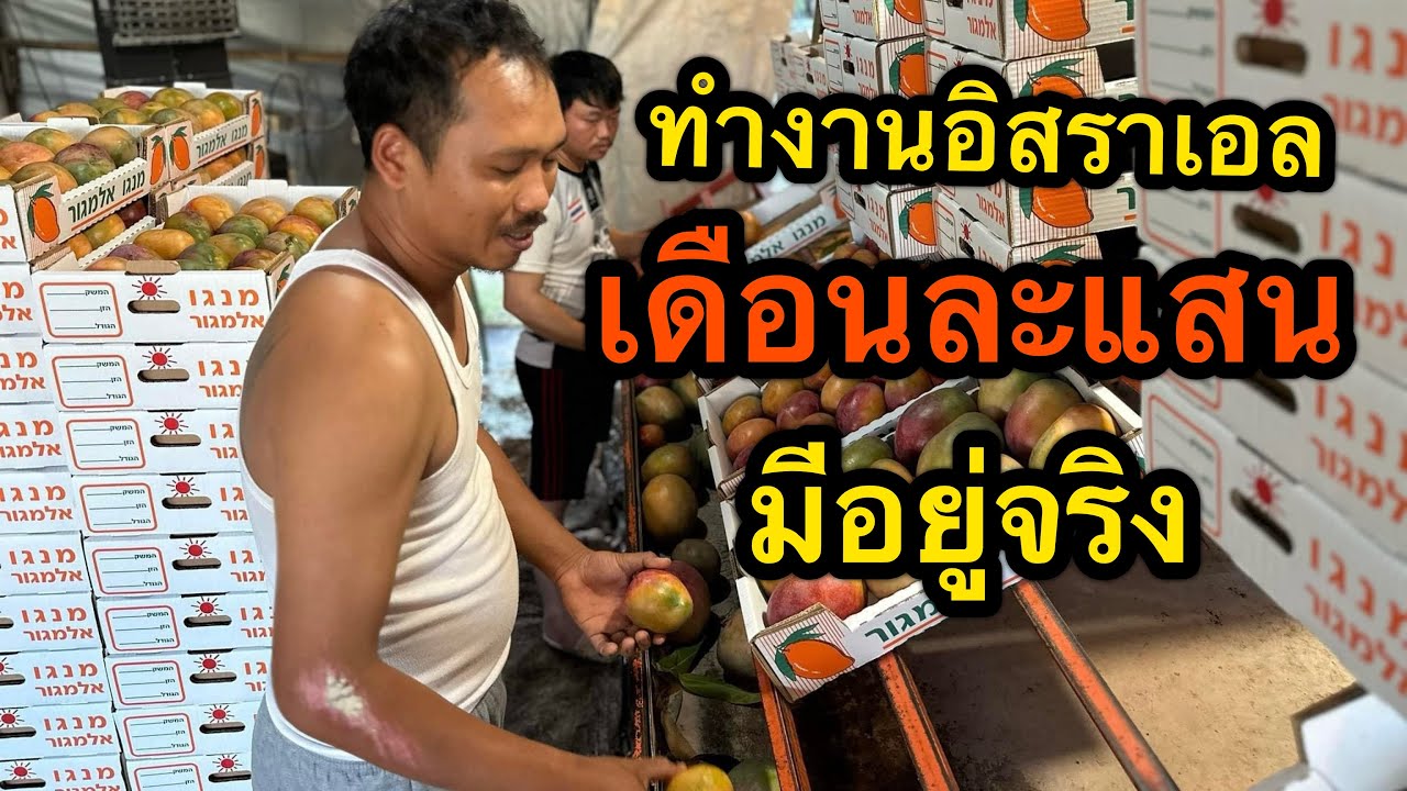 รายได้ในการทำงานในประเทศอิสราเอล