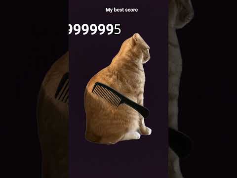 my best score