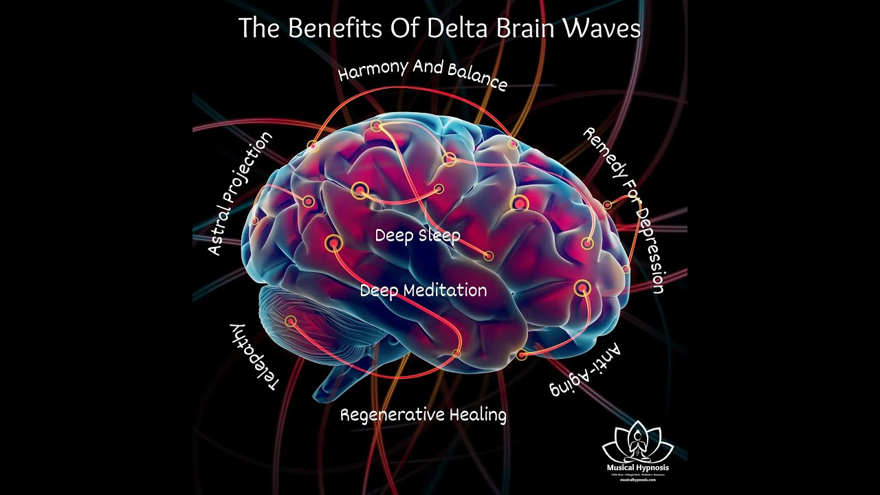 Delta Brain Waves - YouTube