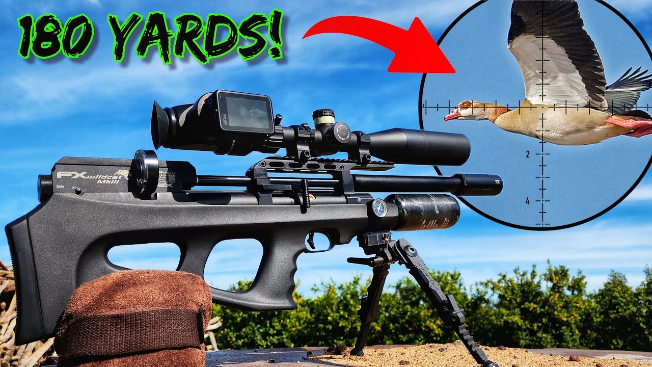 Long-Range Hunt | FX Wildcat MK3 Compact BT | FX Impact M3 800mm TRS | Hits like a Hurricane #viral
