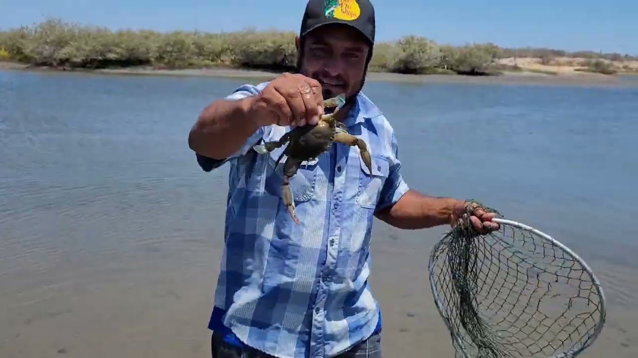 Como agarrar jaivas fácil y rápido 