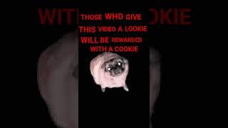 GIVE ME LIKE AND TAKE YOUR COOKIE REWARD 🎉