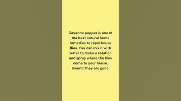 How to get rid of house flies? #shorts