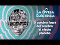 La oveja eléctrica. El cerebro fuera del cerebro: el efecto placebo