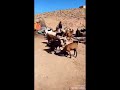 قصيدة جميلة عن ايام البادية