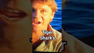 Steve Irwin Wildlife Warrior!