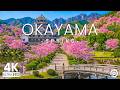 Okayama, Japan in Spring 4K 🇯🇵 Korakuen Garden, Okayama Castle &amp; Timeless Japan Beauty