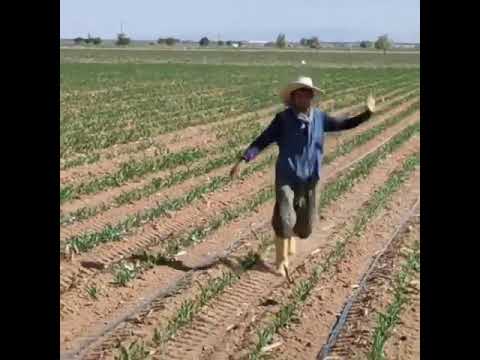 تصویری: وان آکریلیک (115 عکس): جوانب مثبت و منفی طراحی ، بهترین تولیدکنندگان ، نحوه انتخاب محصول ، رتبه بندی مشتریان و نظرات 2021