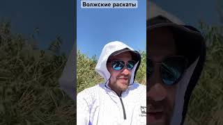 Протоки волжских раскатов , удивительное место для рыбалки и отдыха  #fishing #рыбалка