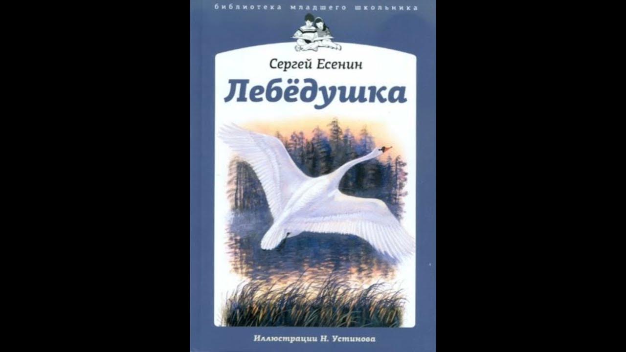 Лебедушка есенин средства художественной. Рассказ Есенина Лебедушка. Есенин с. "лебёдушка". Стих Есенина Лебедушка. Лебёдушка Есенин 4 класс.