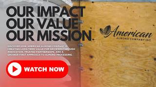 American Almond Company (Company Overview & Business Model)