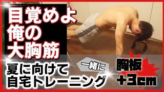 【目覚めよ 俺の大胸筋】夏に向けて 一緒に自宅トレーニング