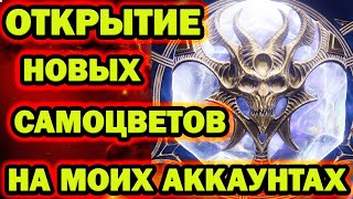 ОТКРЫВАЮ НОВЫЕ САМОЦВЕТЫ RAID SHADOW LEGENDS