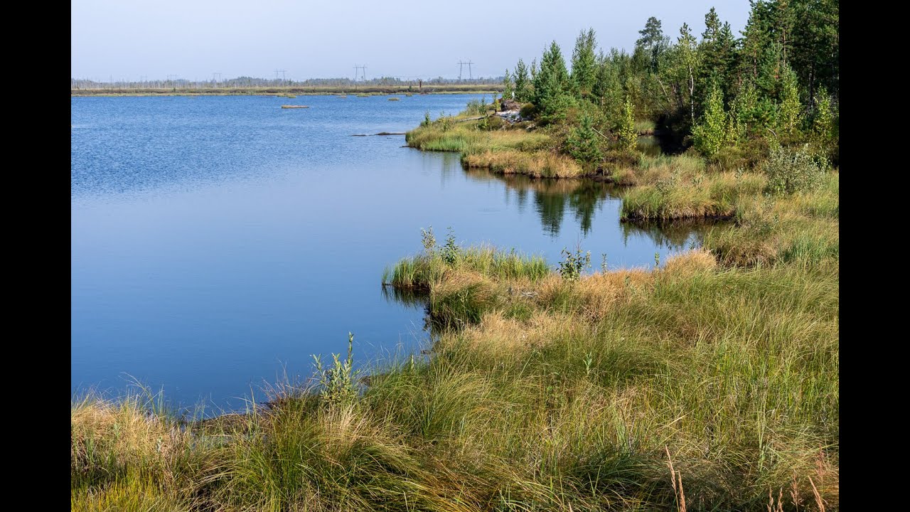 6327477, 6327742, Сургут, Почекуйка, р н Сурмятино, ул Мирная - YouTube