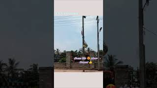 ❤️😍 Golden 🔥 Days❤️ #memories #sweetmemories #school  #college #dailyshorts #dailyreels #govtschool