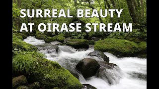 Discover a Ghiblilike World at Oirase Stream