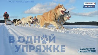 "В ОДНОЙ УПРЯЖКЕ" | Поход на собачьих упряжках по Карельской тайге 2020 | Лаборатория путешествий