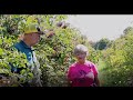 Elderberry Production Zoom with Patrick Byers