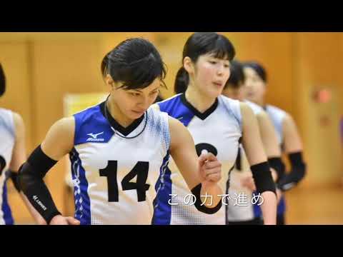 2018年度大阪体育大学女子バレーボール部