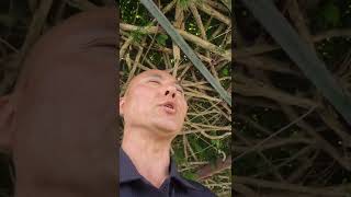 증권거래소 시장에 상장.