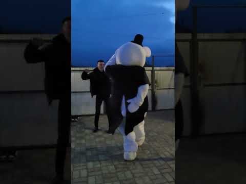 Медведь танцует Лезгинку.. #ростовоймедведьпоздравление #деньрождения #праздник #сюрприз