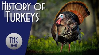 Get Stuffed!  The History of the Turkey