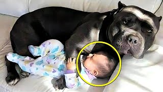 Pas ne pušta bebu da spava sama. Kada su roditelji saznali razlog pozvali su POLICIJU !