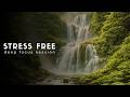 The Ultimate Focus Music for Studying &amp; Coding (No Distractions)
