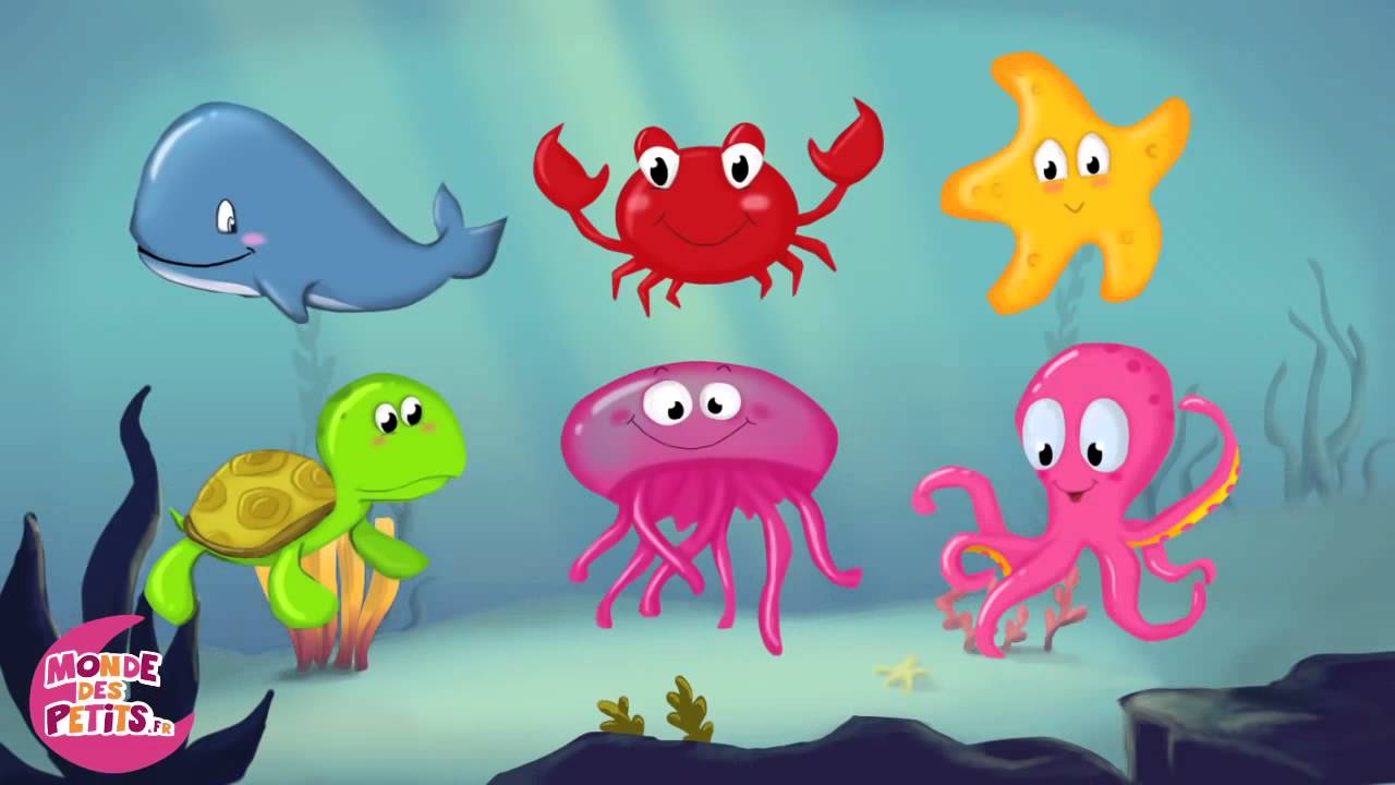 Apprendre Les Animaux Aquatiques En Francais Youtube Apprendre Les Animaux Aquatiques En Francais Youtube