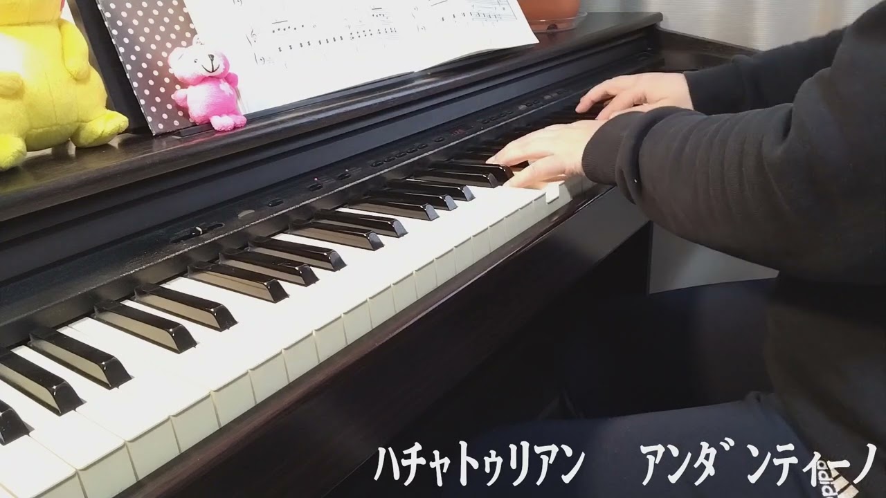 ﾊﾁｬﾄｩﾘｱﾝ：ｱﾝﾀﾞﾝﾃｨｰﾉ