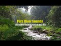 Peaceful Nature River Sounds for Deep Sleep | Relaxing Jungle Ambience at Night