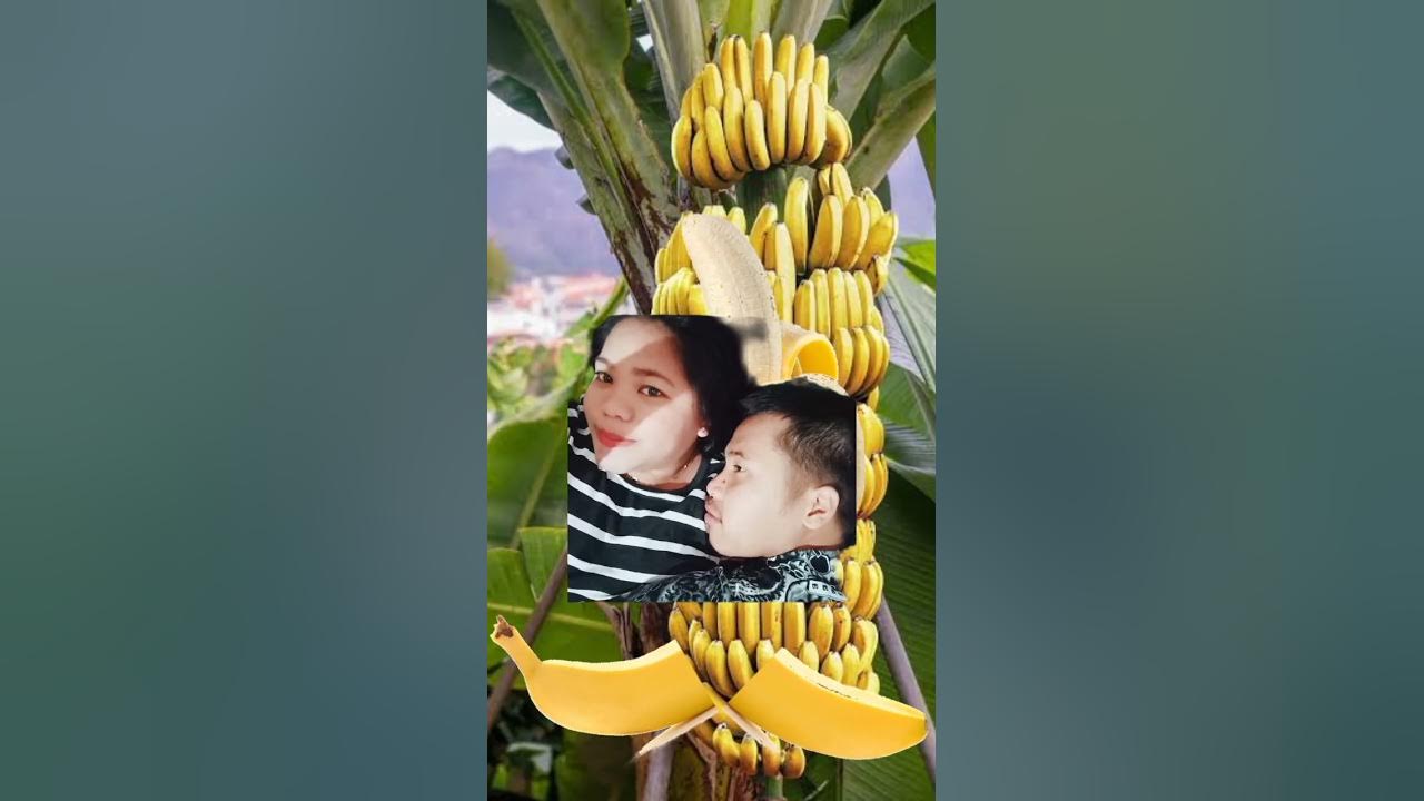 YUMMY BANANA#asmr #youtubeshorts #short #shortsvideo