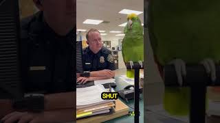 Parrots Insults Went Too Far Cop Snapped