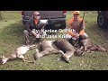 Deer season highlights 2019 19 kills on camera