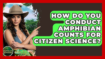 How Do You Conduct Amphibian Counts For Citizen Science? - Reptilian Wonders