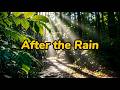 After the Rain