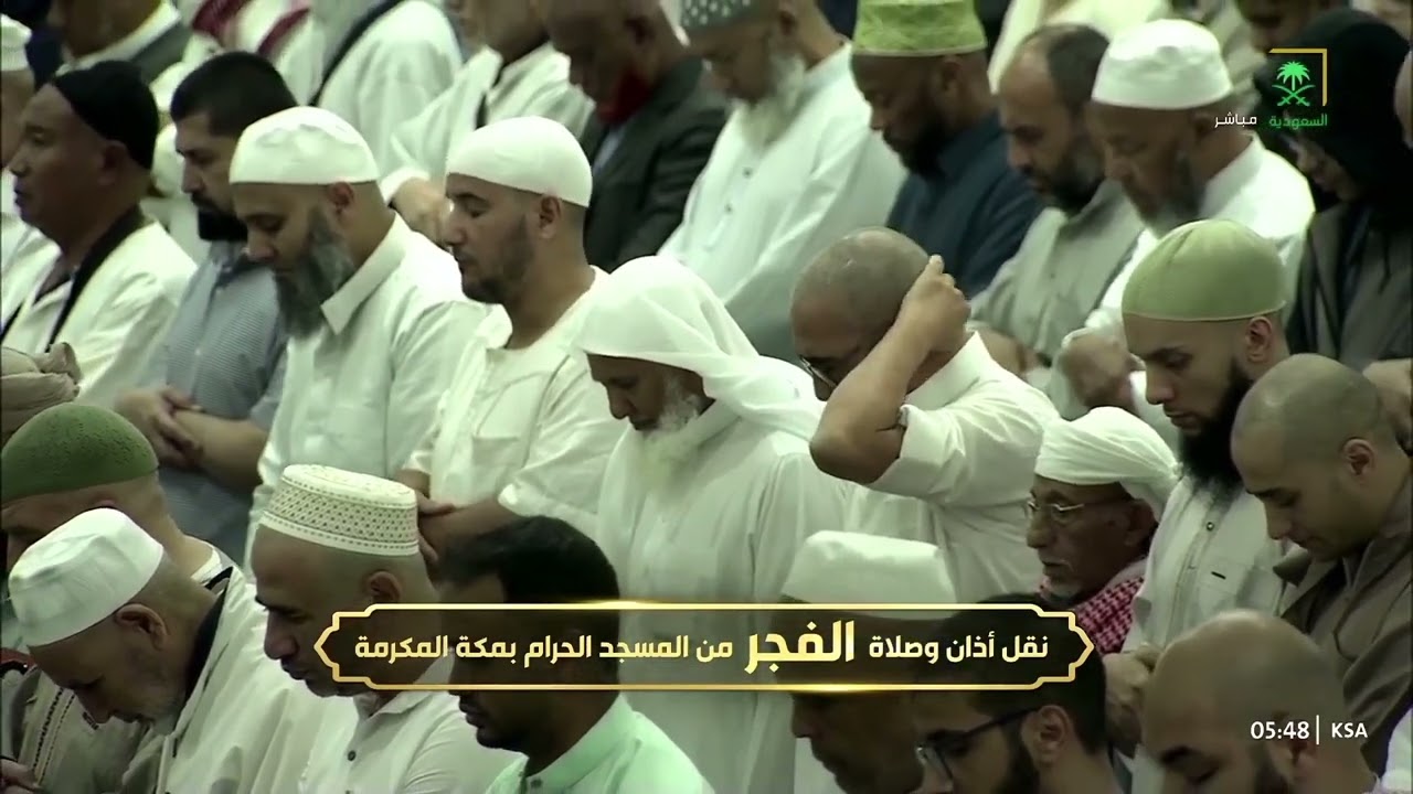 (فَإِذا جَآءَتِ ٱلصَّآخَّةُ) صلاة الفجر للشيخ #بدر_التركي ١٠ جمادى الآخرة ١٤٤٦ هـ سورتي عبس والبلد