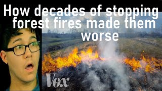 American Reacts to How decades of stopping forest fires made them worse | Vox | Reaction