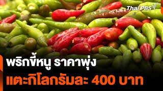 "พริกขี้หนู" ราคาพุ่ง แตะกิโลกรัมละ 400 บาท | วันใหม่ ไทยพีบีเอส | 14 พ.ค. 67